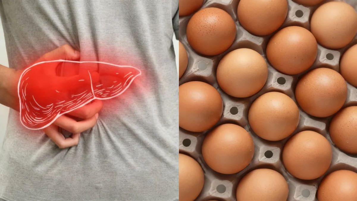 Hígado graso y consumo de huevos: guía actual